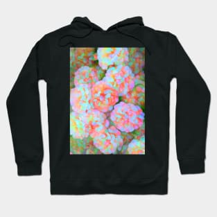 Pastel Hydrangea Hoodie